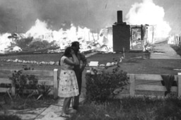 Nature or negligence?  Creating a global context to understand destructive wildfires